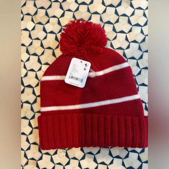 Free people Apres Ski Team Pom Beanie - Picture 3 of 3